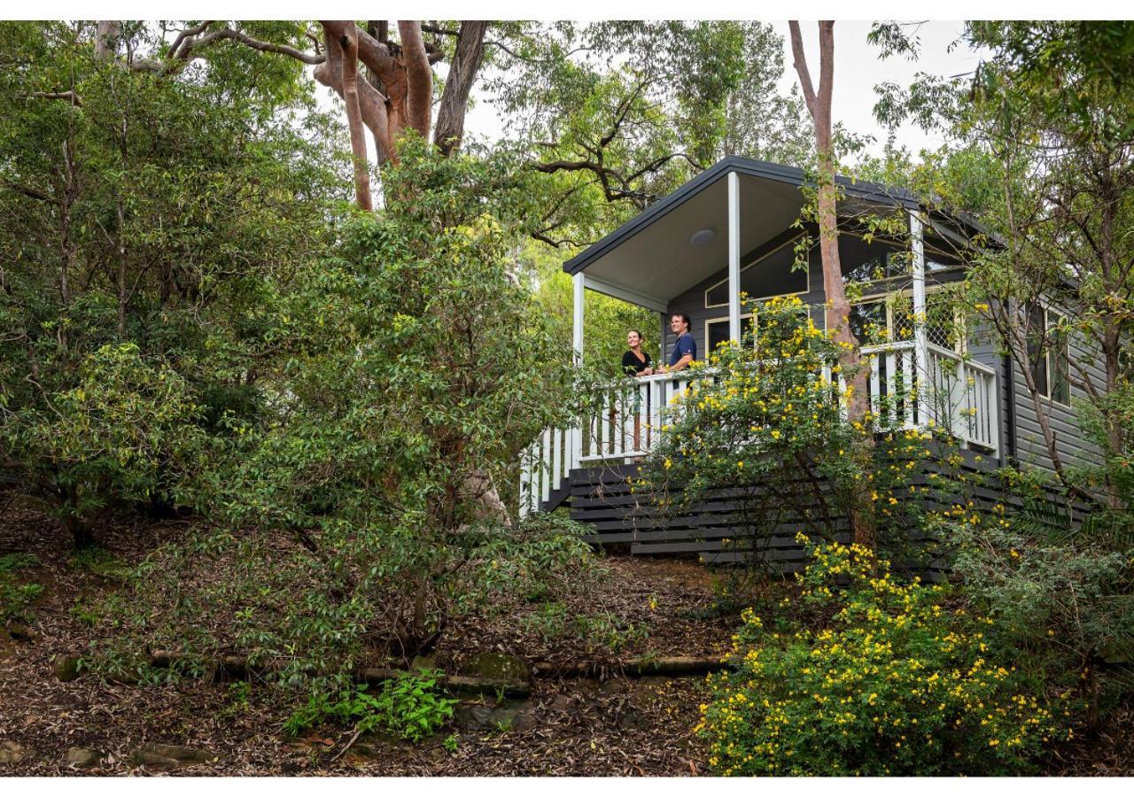 Discovery Parks - Lane Cove سيدني المظهر الخارجي الصورة