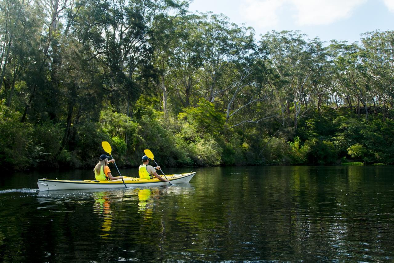 Discovery Parks - Lane Cove سيدني المظهر الخارجي الصورة