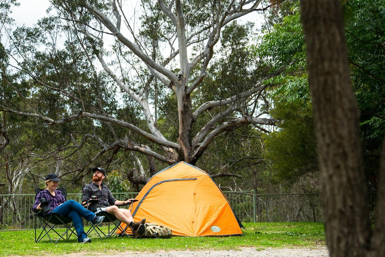 Discovery Parks - Lane Cove سيدني المظهر الخارجي الصورة
