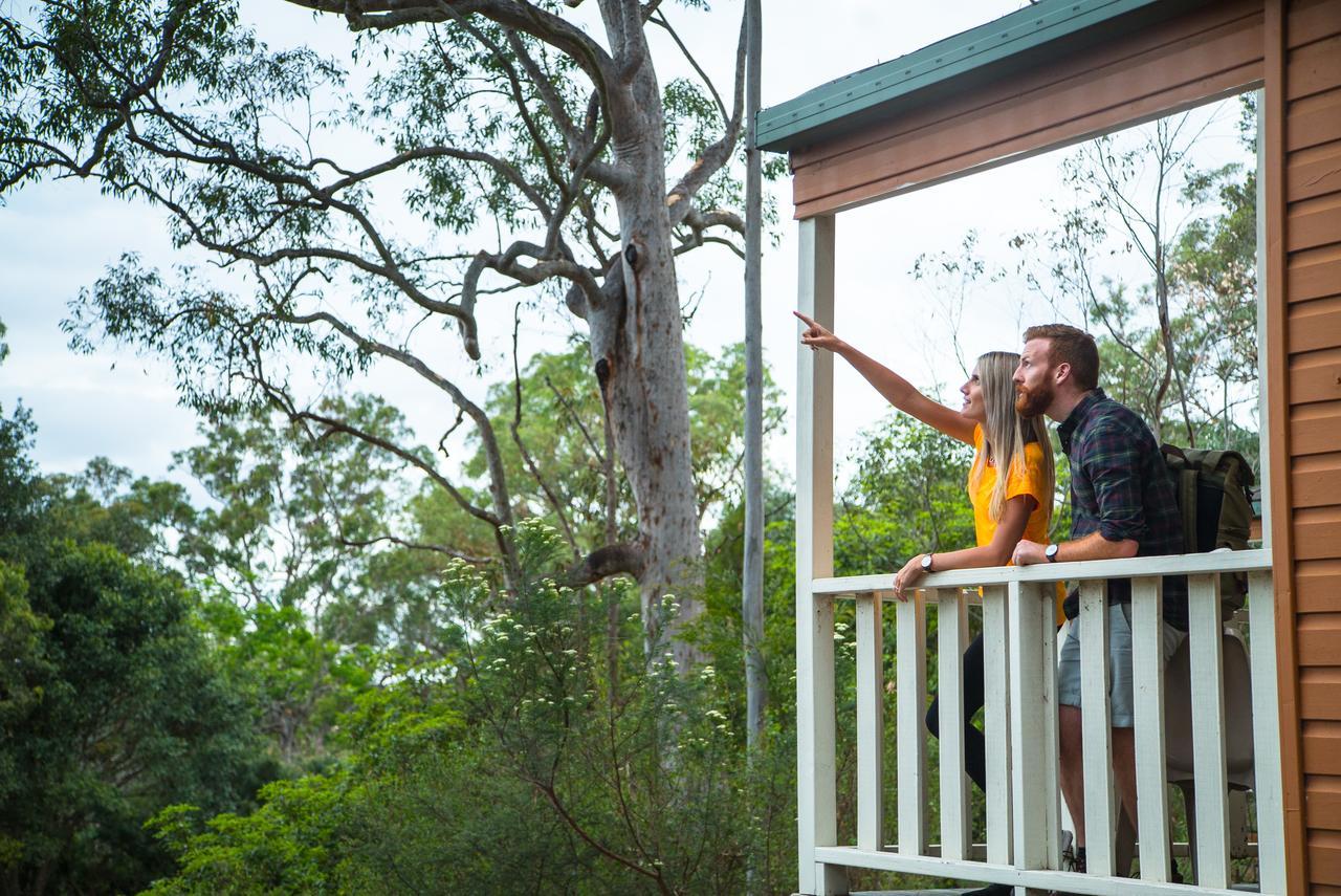 Discovery Parks - Lane Cove سيدني المظهر الخارجي الصورة