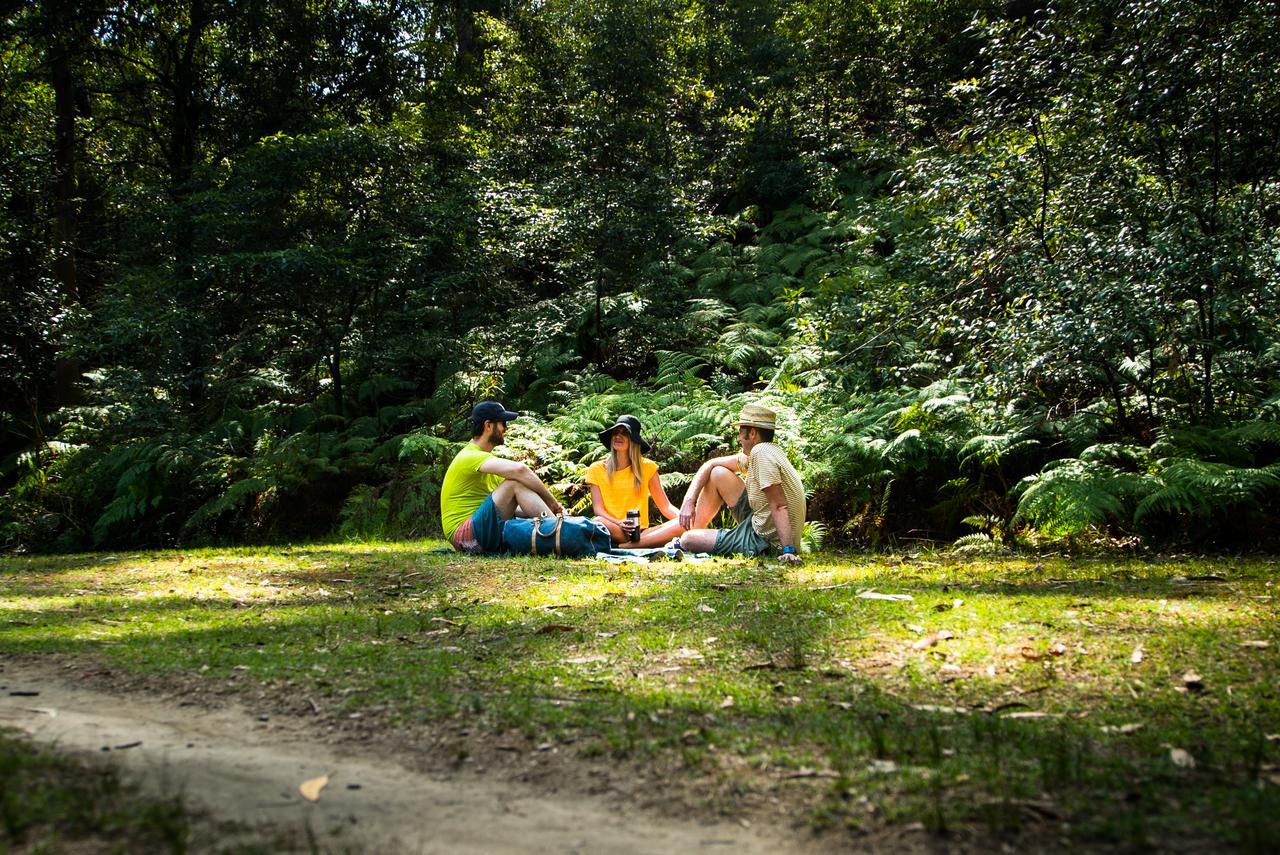Discovery Parks - Lane Cove سيدني المظهر الخارجي الصورة